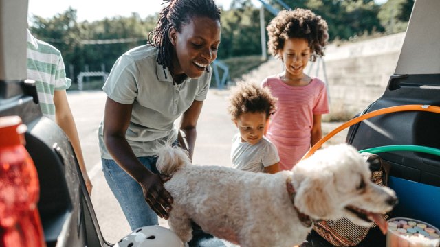 family looking in trunk during a mystery road trip