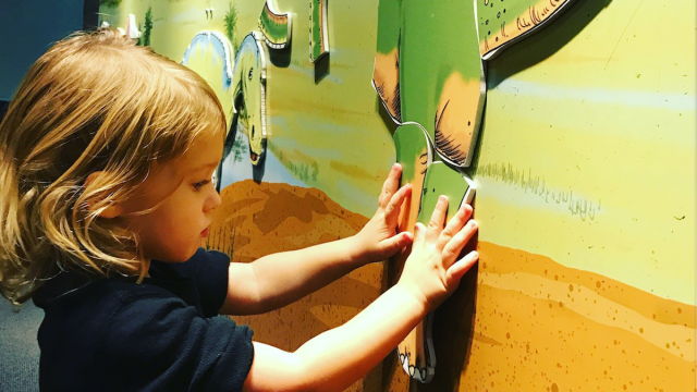 the perot museum is a great kids' museum in Dallas