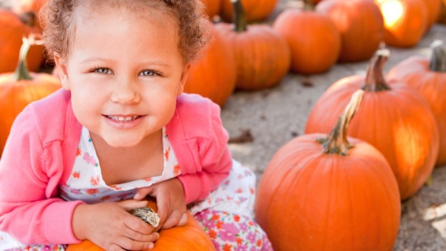 a girl in a pink dress sits by a pumpkin in a pumpkin patch