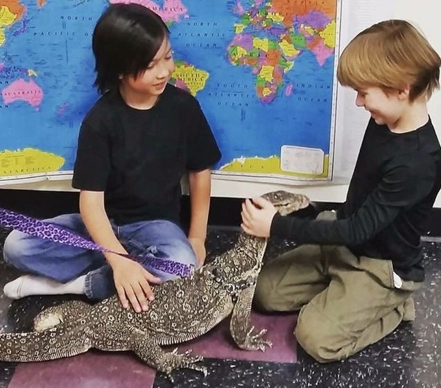 Places To Learn, EcoVivarium, Science for Kids