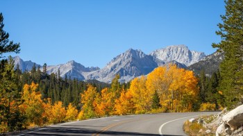 best fall foliage spots near LA