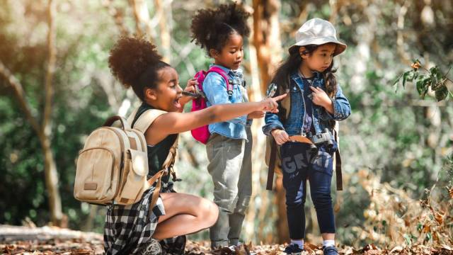 kids point to something interesting in the forest as they are out for a family friendly, kid friendly hike