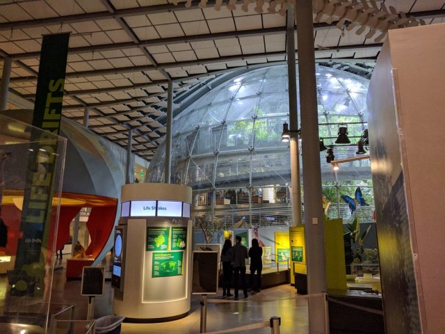 California Academy Sciences Nightlife