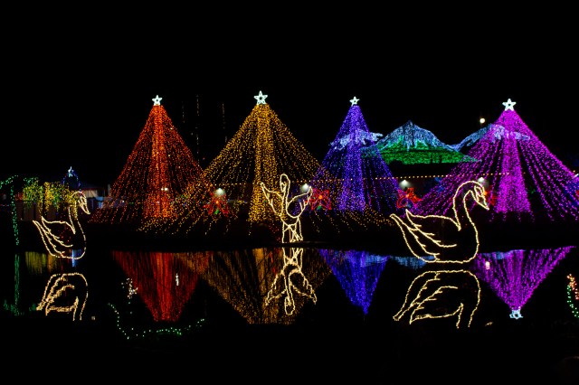 Seattle Christmas light displays
