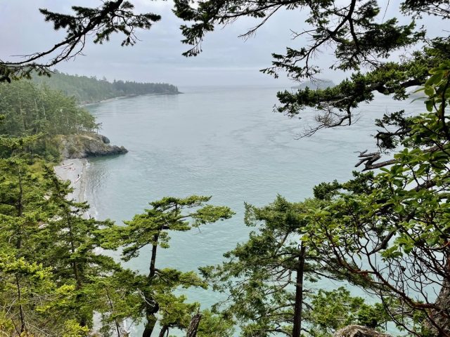 easy hikes near seattle for kids winter