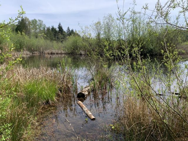 easy hikes near seattle kids winter