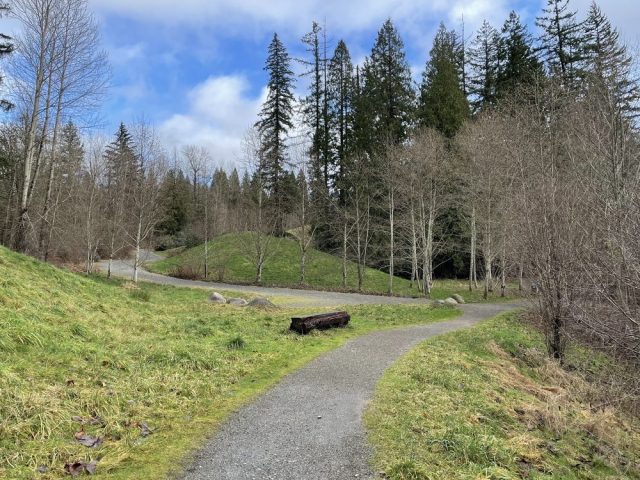 easy hikes near seattle for kids winter