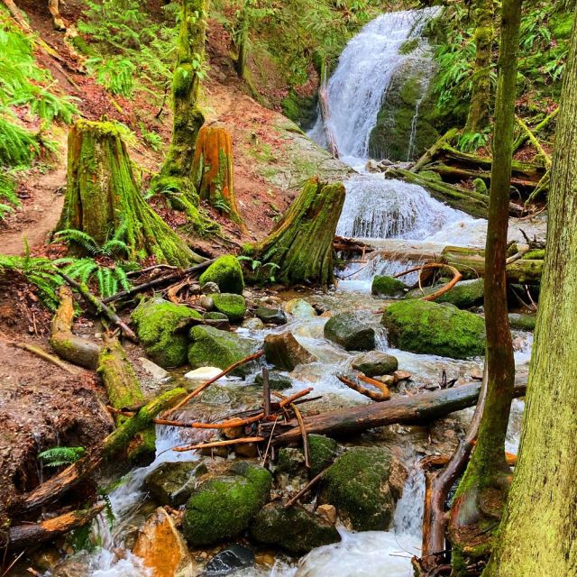 easy hikes near seattle winter kids