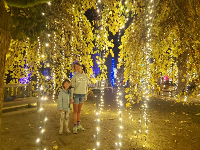 best holiday displays in SF