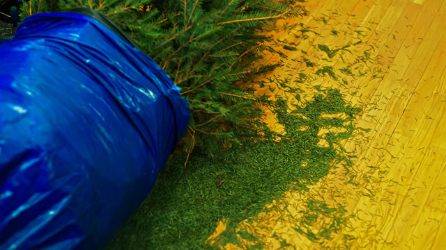 wrapping your tree in a garbage bag is a genius holiday hack