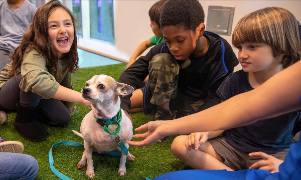 best animal encounters around LA