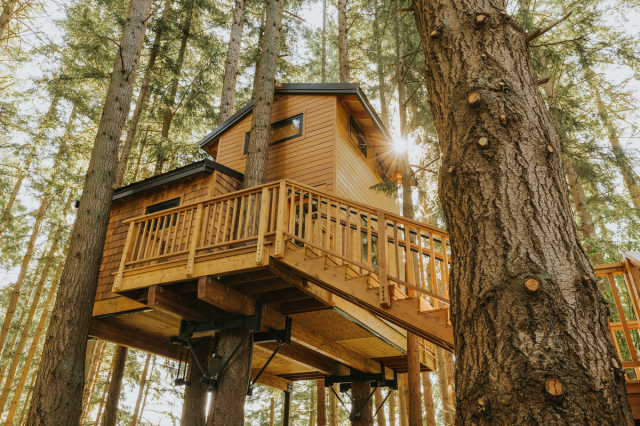treehouse rentals washington state, near seattle