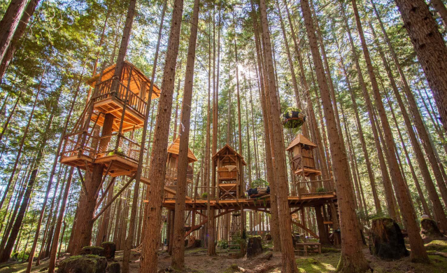 treehouse rentals washington state