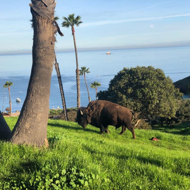 cool places to stay in Los Angeles