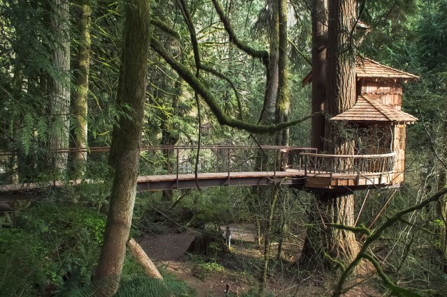 treehouse rentals washington state, near seattle