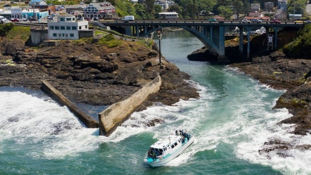 a boat goes under a bridge in Doepe Bay OR a winter getaway nearby