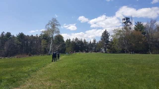 Kid-friendly-hiking-trails-near-boston spring hikes