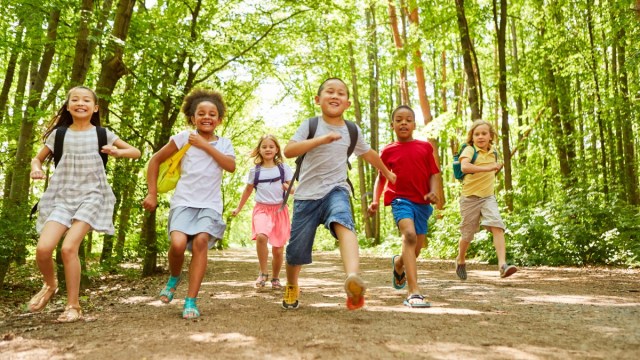 best summer camps for kids in LA