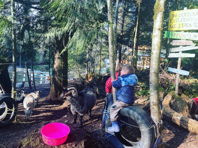 petting farms and zoos seattle