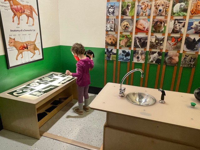 seattle childrens museum, best kids museums