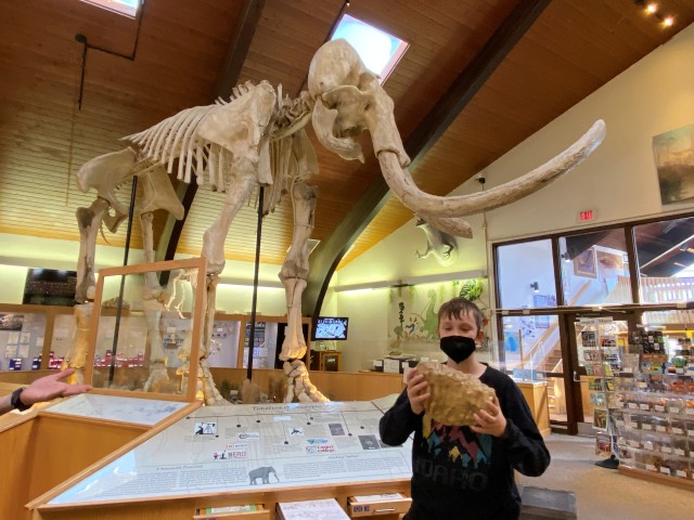 Boy at dinosaur museum best road trips for kids