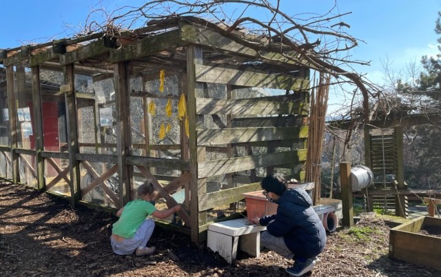 Kids looking at chicken coop at Denny Woo Park in seattle chinatown international district