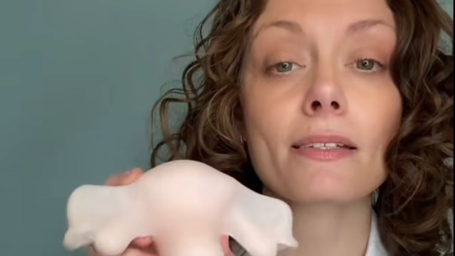 Dr Jennifer Lincoln holds uterus model