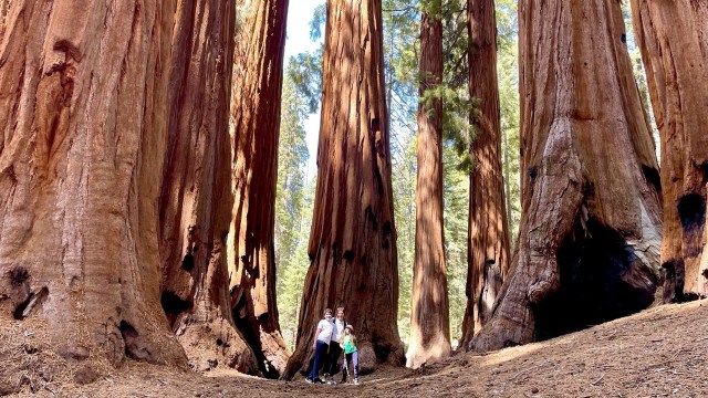 Fun things to do in Visalia with kids