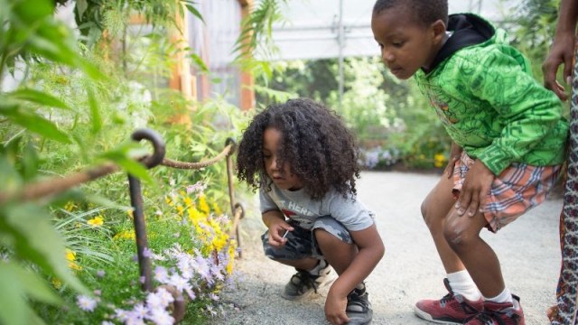Kids at the butterfly garden at Woodland Park Zoo over Memorial Day weekend when it reopns