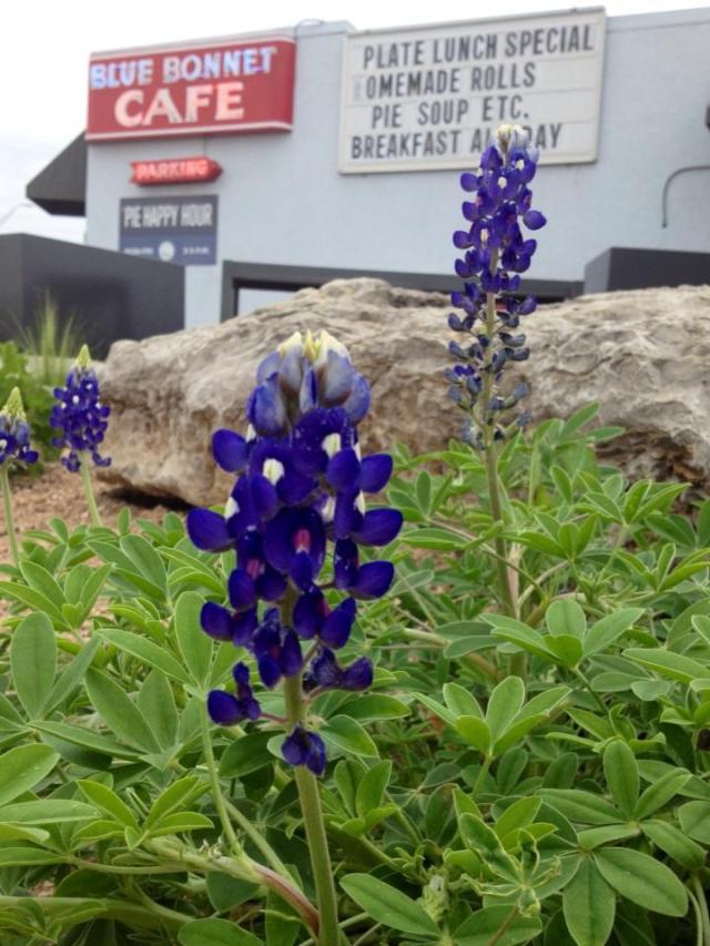 The Blue Bonnet Cafe has the best pie in Burnet County Texas