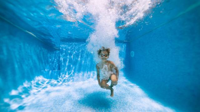 a boy jumps into an indoor swimming pool seattle