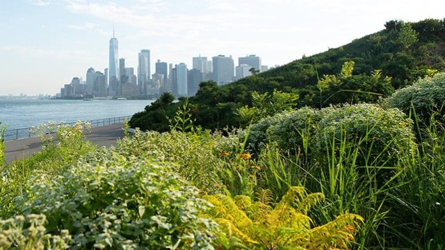 View of lower Manhattan skyline from Governor's Island park