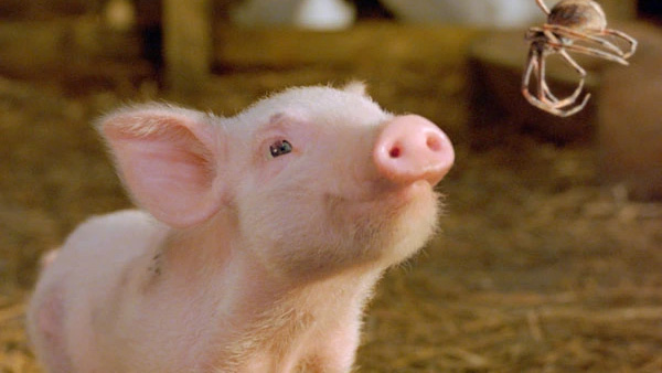 charlotte's web is a good movie for 7-9-year-olds