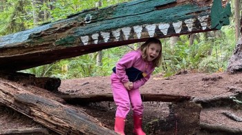 hidden gems around Seattle