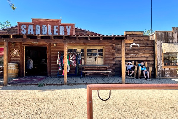 best things to do in Joshua Tree