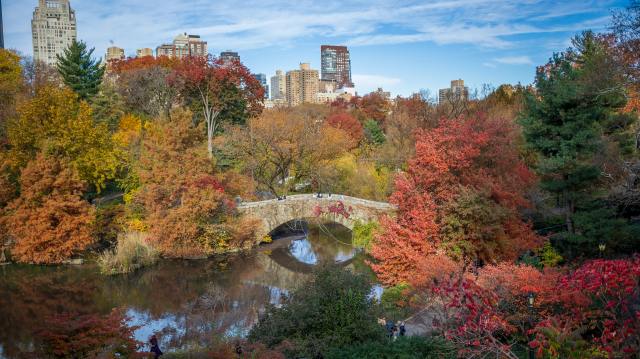 central park ny fall foliage