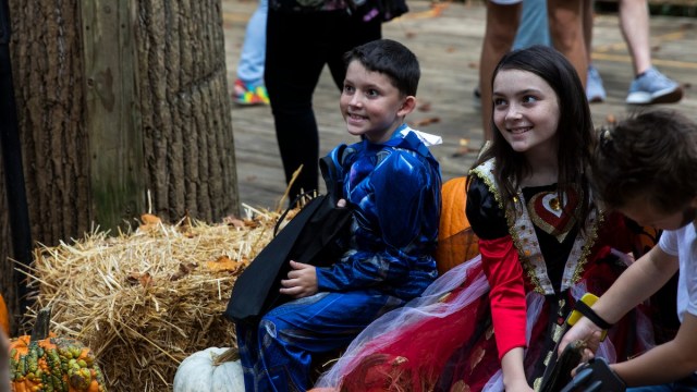 kids sit on a hay maze in costumes at Halloween zoo events atlanta