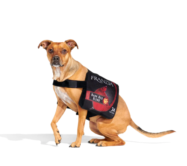 Dog wearing a Franzia boxed wine costume