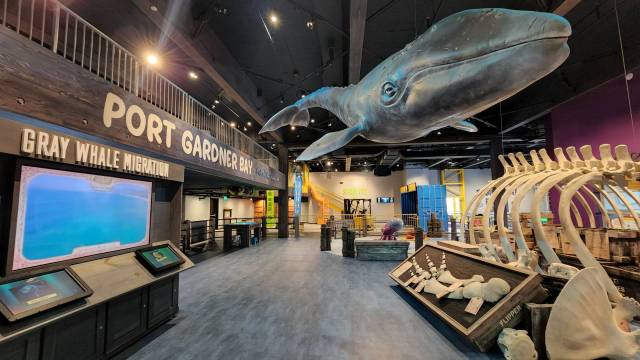 a whale hangs from the ceiling at the new imagine childrens museum ecosystem exhibit near seattle
