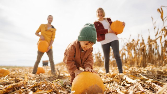 family at pumpkin patch in the bay area