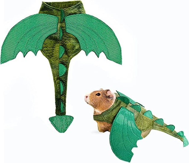 guinea pig wearing a dragon costume