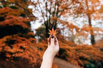 hand holding orange leaf with black finder nails
