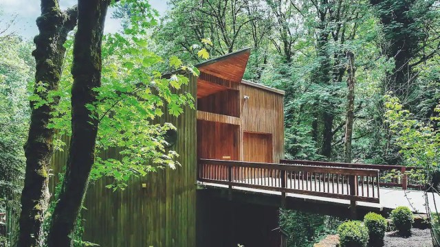the wald house featured on dwell sits among the trees with a walkway as a featured treehouse rentals oregon spot