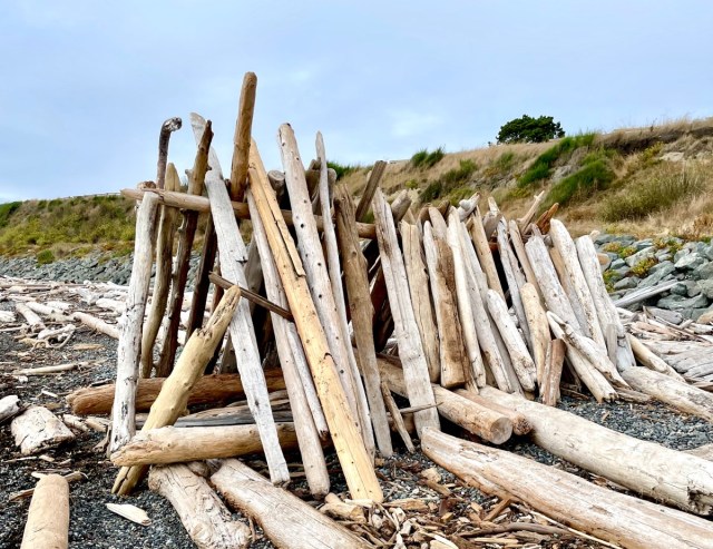 best things to do in Victoria, BC