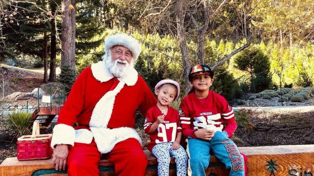 best christmas tree farms in the bay area