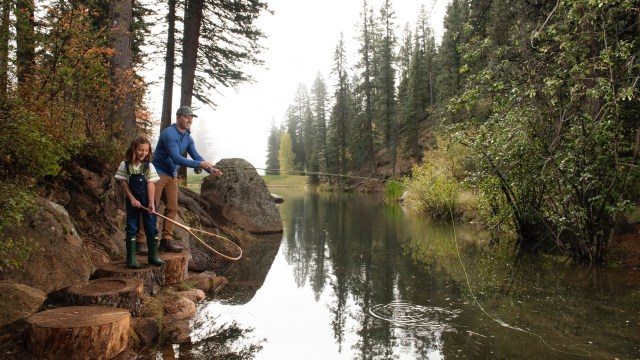 Father and daughter fly fishing at the river surrounded by lush greenery