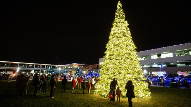 Seattle Christmas lights like Google Musical Holiday Lights in Kirkland delight families with large lit trees and synched displays