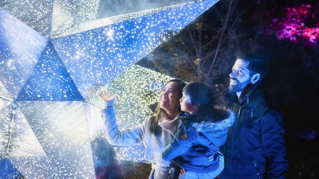 best holiday events san diego lightscape