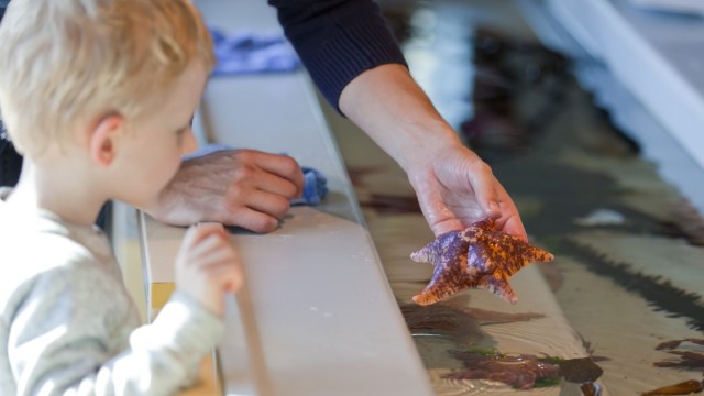 Some of the best things to do in LA are free