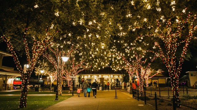 Family walking toward holiday lights at the park